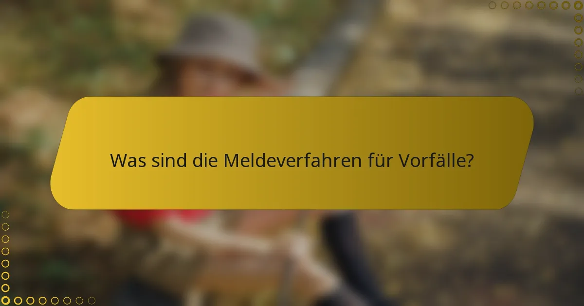Was sind die Meldeverfahren für Vorfälle?