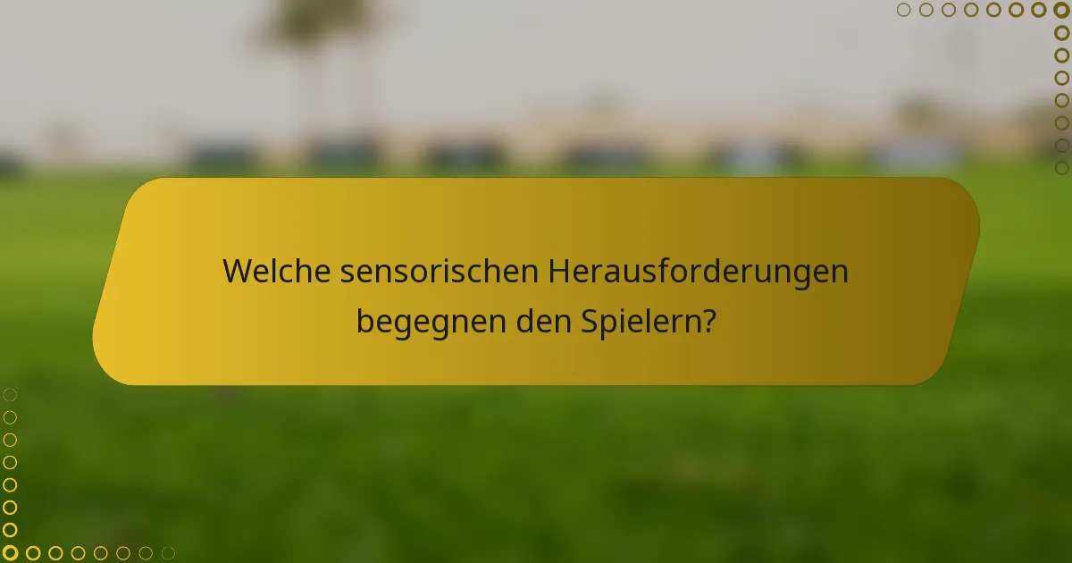 Welche sensorischen Herausforderungen begegnen den Spielern?